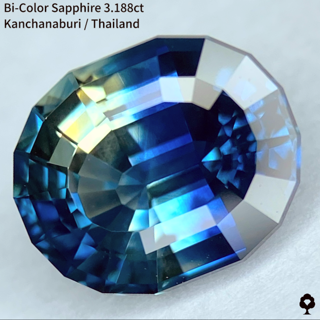 Bi-Color Sapphire 3.188ct / Kanchanaburi