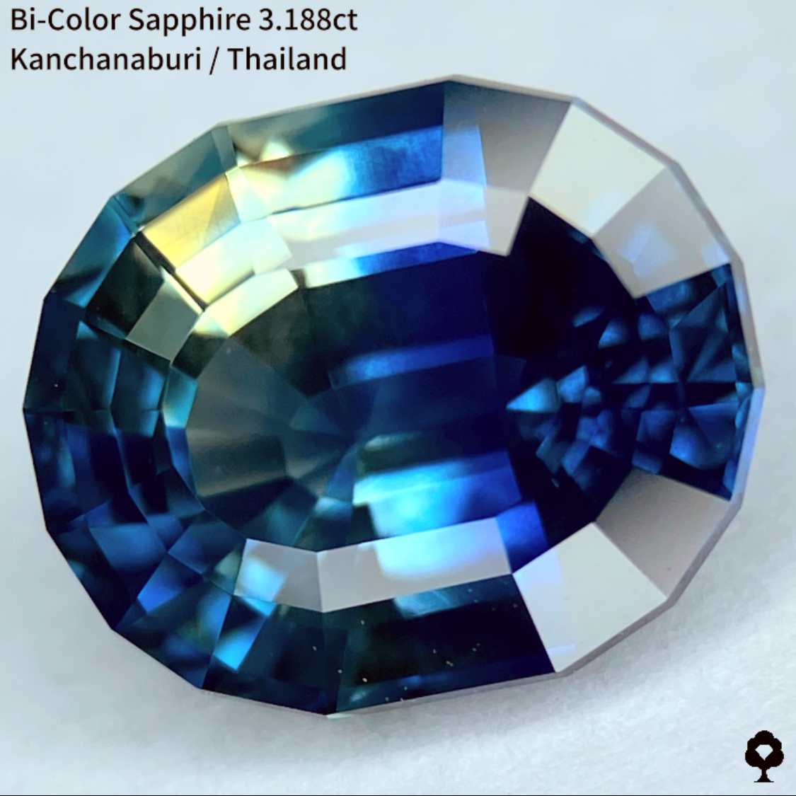 Bi-Color Sapphire 3.188ct / Kanchanaburi