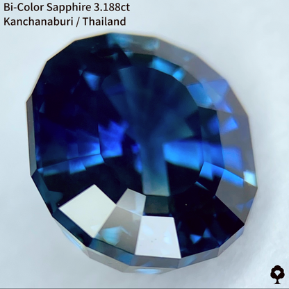 Bi-Color Sapphire 3.188ct / Kanchanaburi