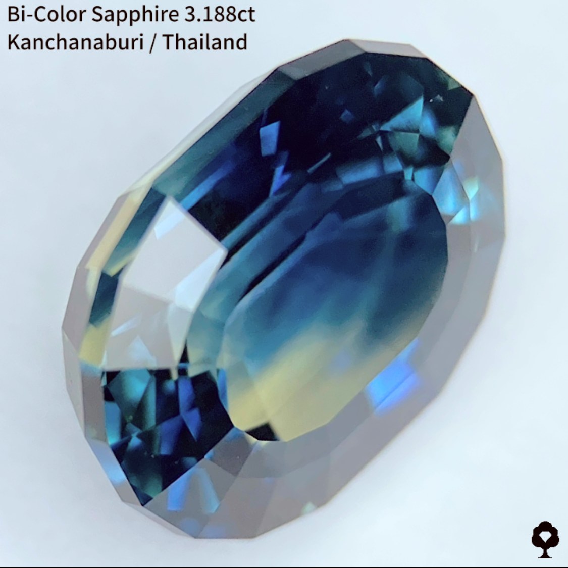 Bi-Color Sapphire 3.188ct / Kanchanaburi