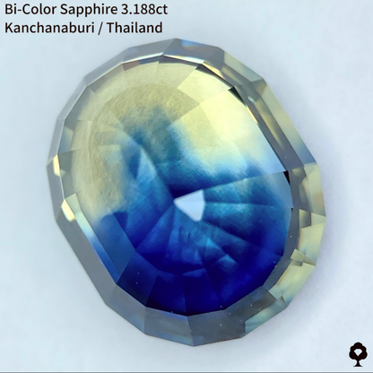 Bi-Color Sapphire 3.188ct / Kanchanaburi