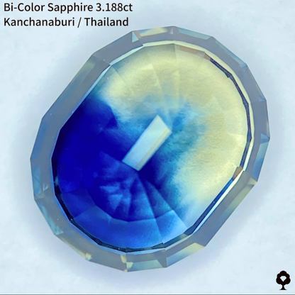 Bi-Color Sapphire 3.188ct / Kanchanaburi