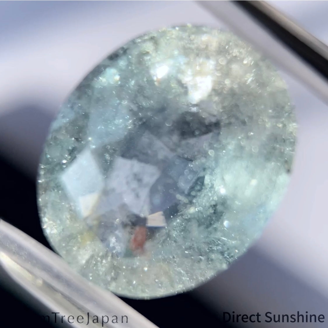 【2/12(木)終了】"Bi-Color" Topaz 11.80ct / Vietnam