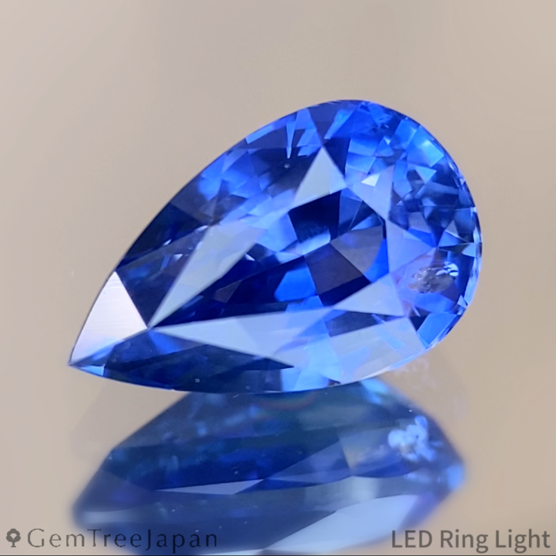 Cornflower Blue Sapphire 1.487ct / Myanmar(Burma)