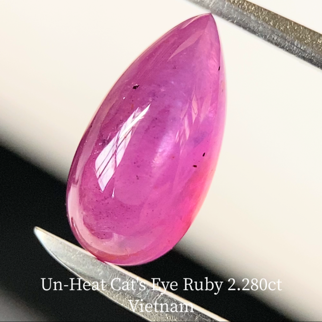 Un-Heat Cat's Eye Ruby 2.280ct / Vietnam