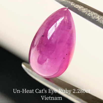 Un-Heat Cat's Eye Ruby 2.280ct / Vietnam