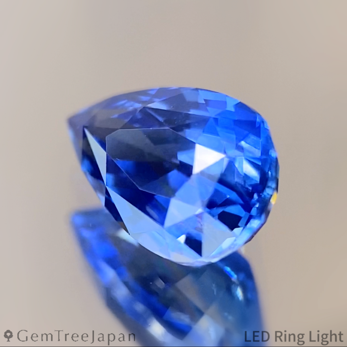 Cornflower Blue Sapphire 1.487ct / Myanmar(Burma)