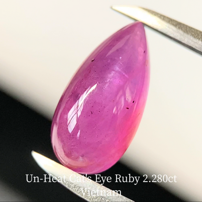 Un-Heat Cat's Eye Ruby 2.280ct / Vietnam