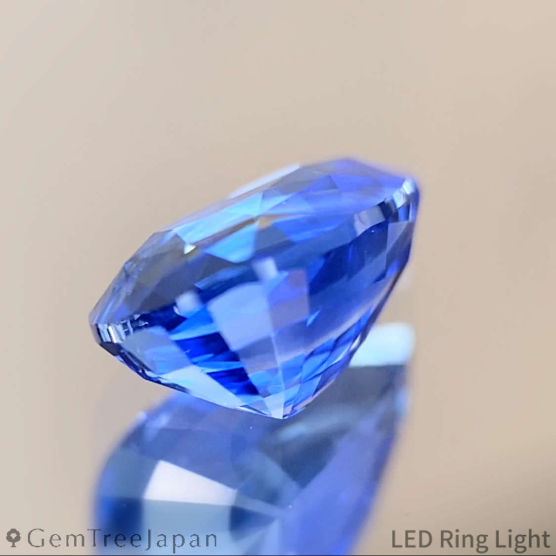 Cornflower Blue Sapphire 1.487ct / Myanmar(Burma)