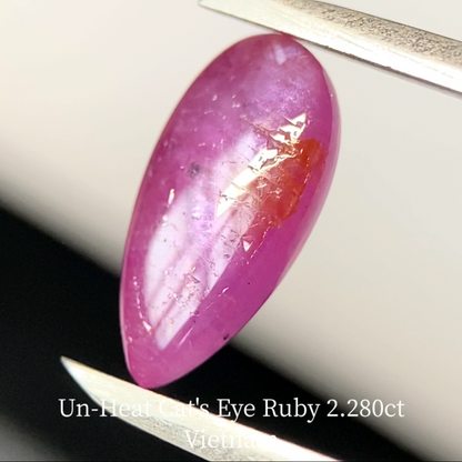 Un-Heat Cat's Eye Ruby 2.280ct / Vietnam