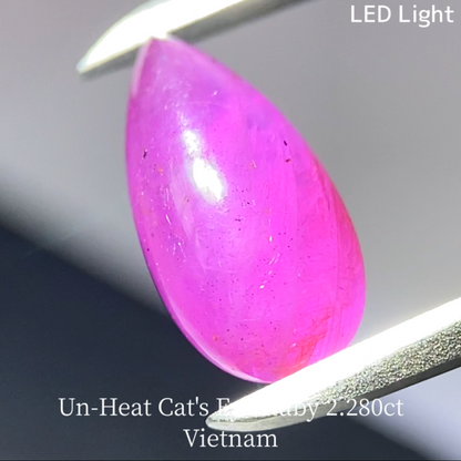 Un-Heat Cat's Eye Ruby 2.280ct / Vietnam