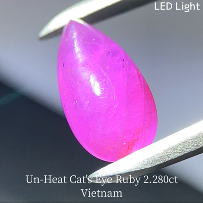 Un-Heat Cat's Eye Ruby 2.280ct / Vietnam