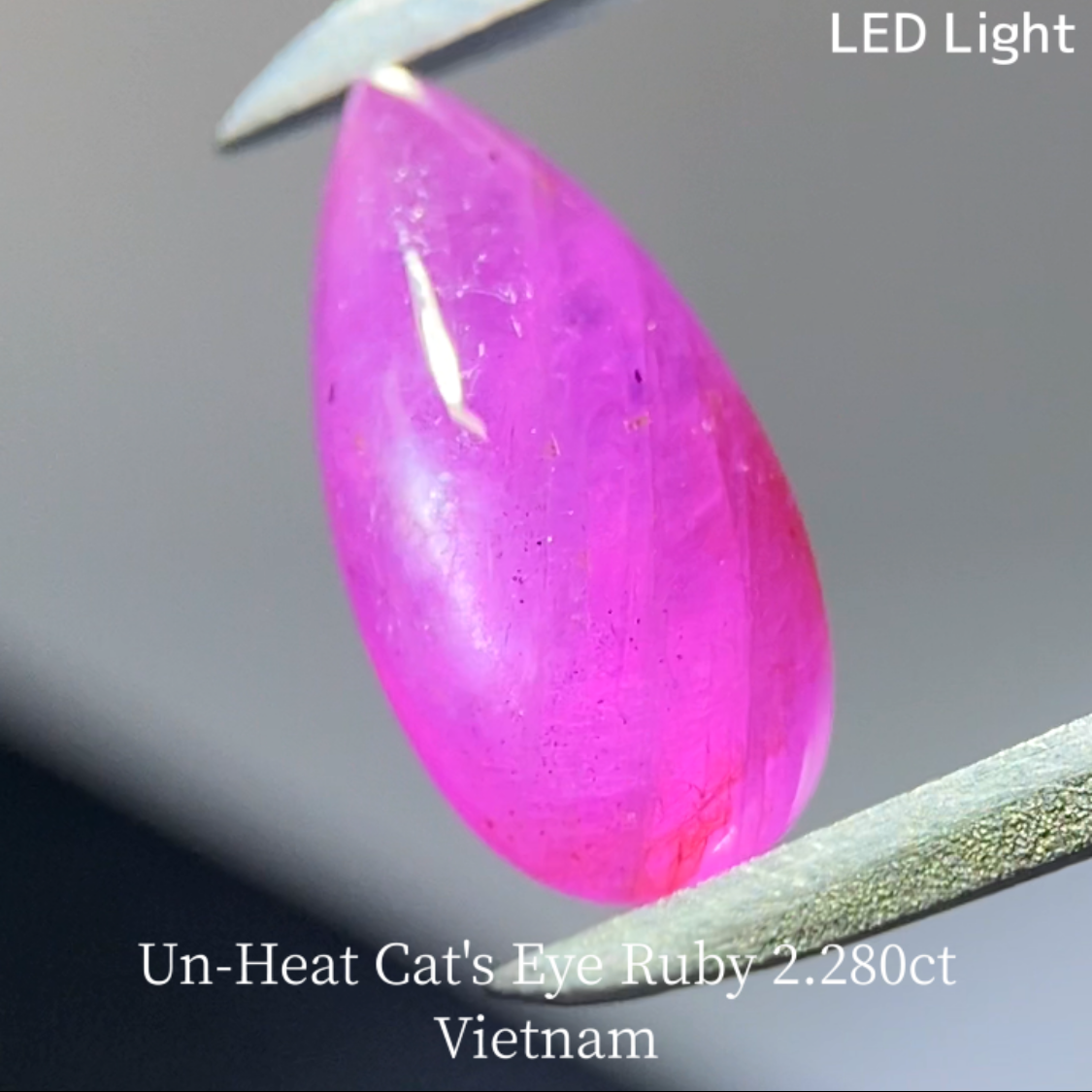 Un-Heat Cat's Eye Ruby 2.280ct / Vietnam