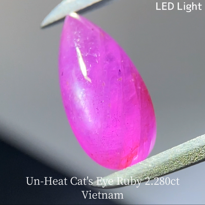 Un-Heat Cat's Eye Ruby 2.280ct / Vietnam