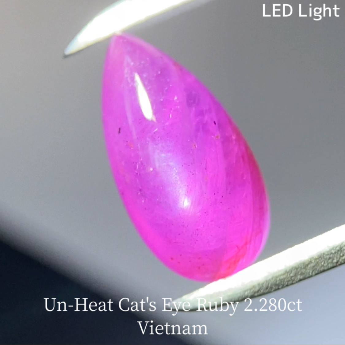 Un-Heat Cat's Eye Ruby 2.280ct / Vietnam