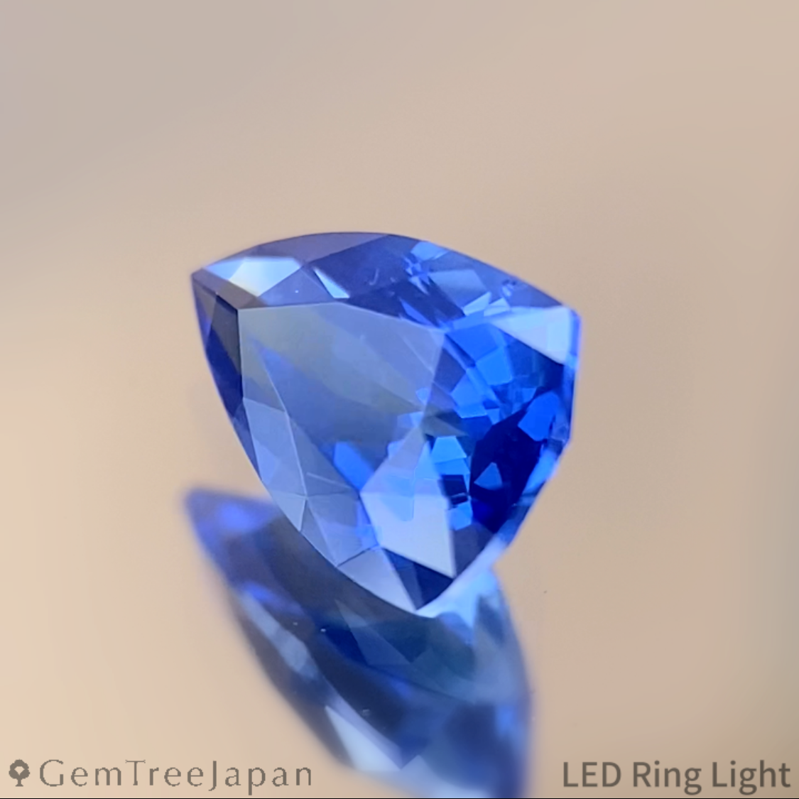 【Trial Price】Cornflower Blue Sapphire 0.574ct / Myanmar(Burma)