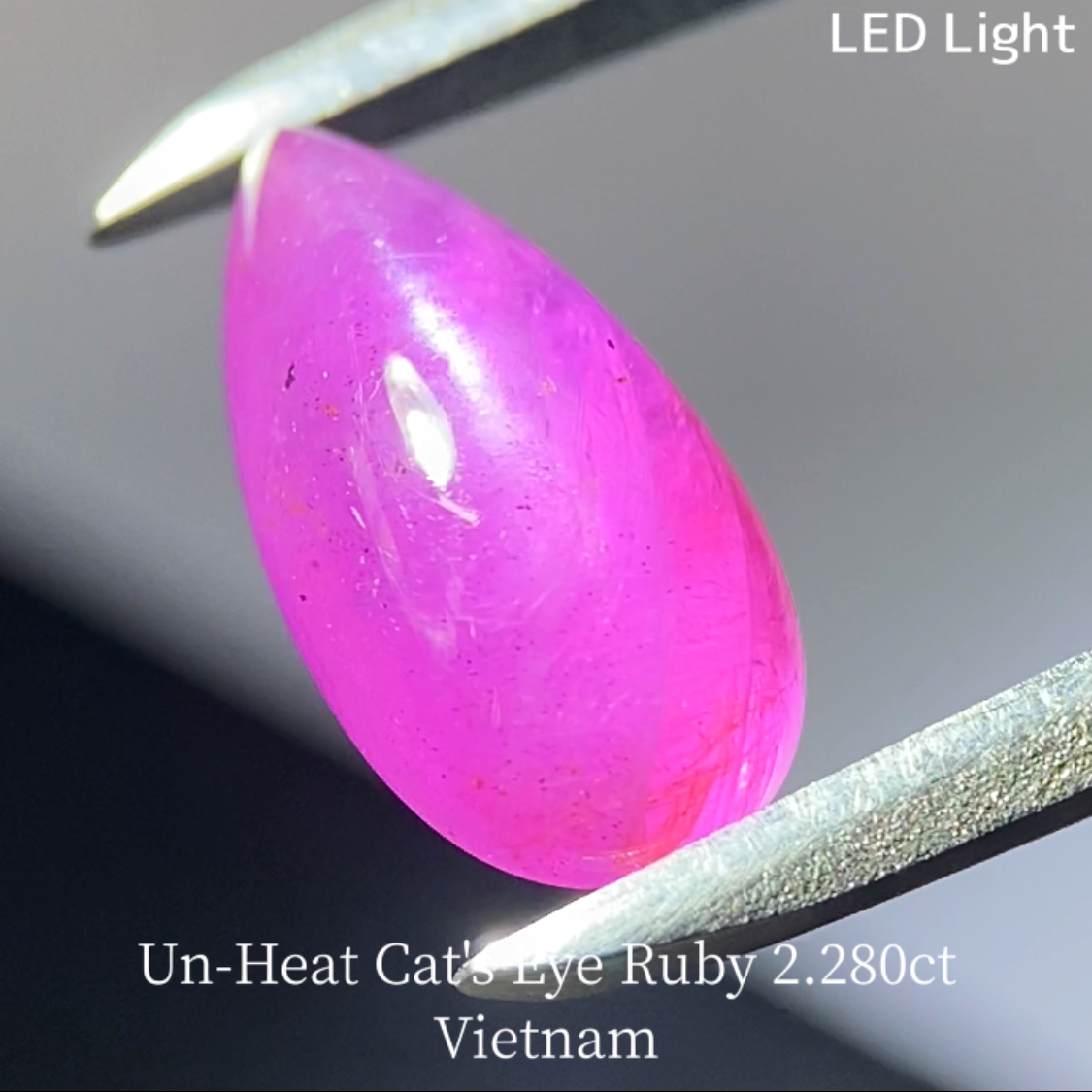 Un-Heat Cat's Eye Ruby 2.280ct / Vietnam