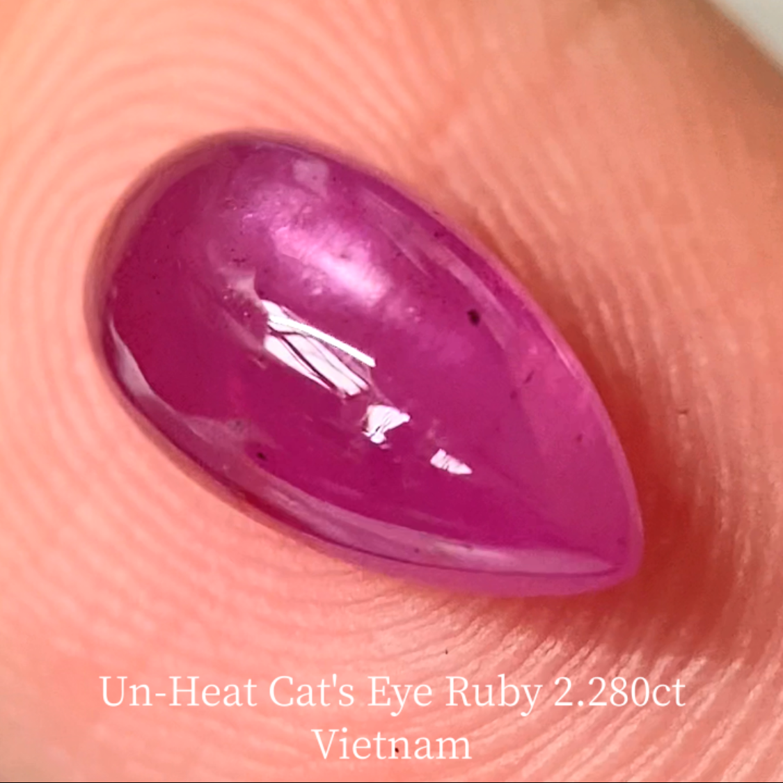 Un-Heat Cat's Eye Ruby 2.280ct / Vietnam