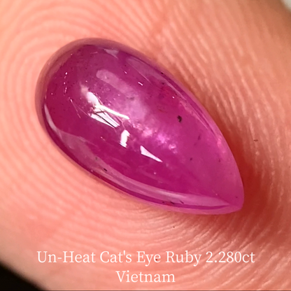 Un-Heat Cat's Eye Ruby 2.280ct / Vietnam