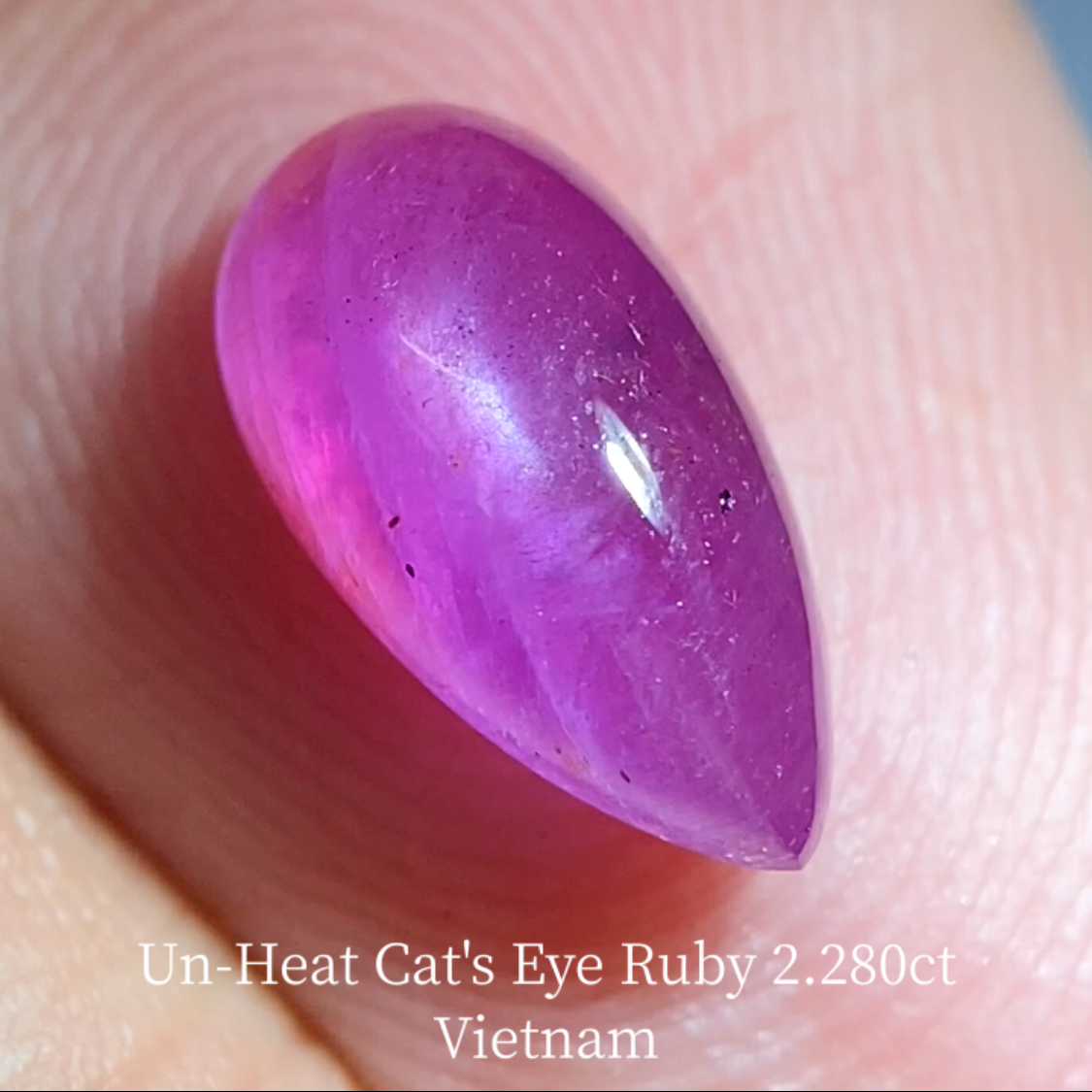 Un-Heat Cat's Eye Ruby 2.280ct / Vietnam