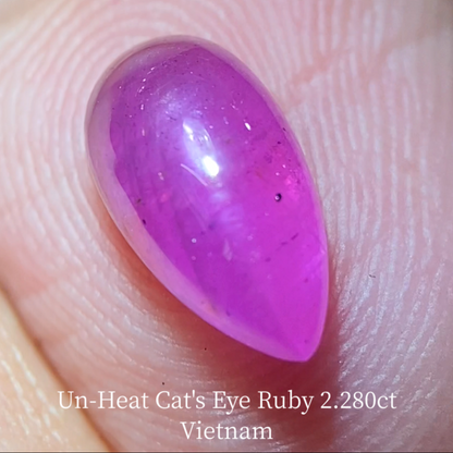 Un-Heat Cat's Eye Ruby 2.280ct / Vietnam