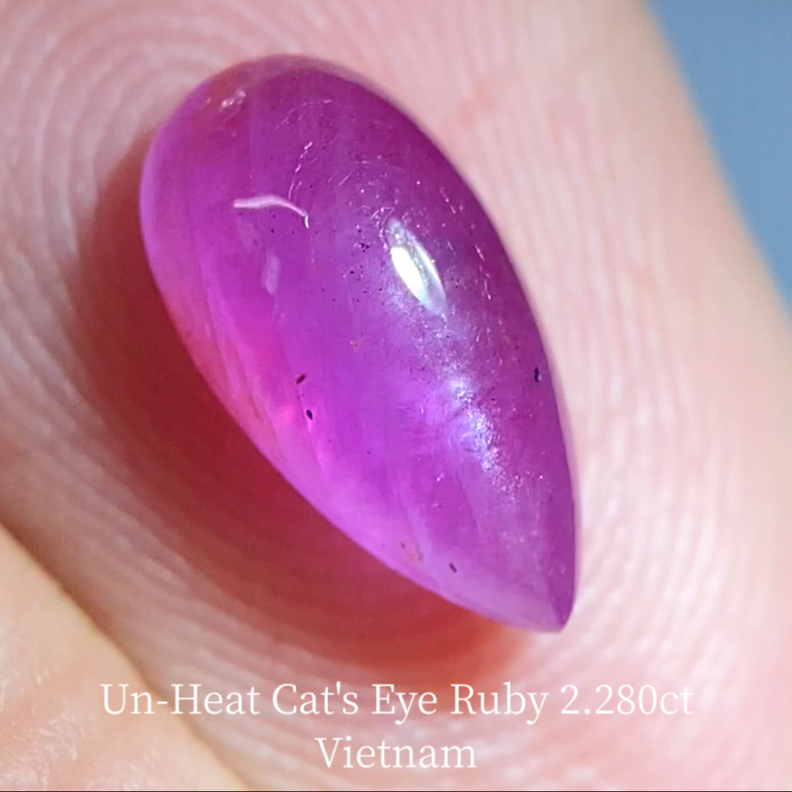 Un-Heat Cat's Eye Ruby 2.280ct / Vietnam