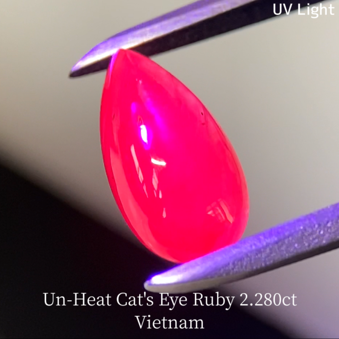 Un-Heat Cat's Eye Ruby 2.280ct / Vietnam