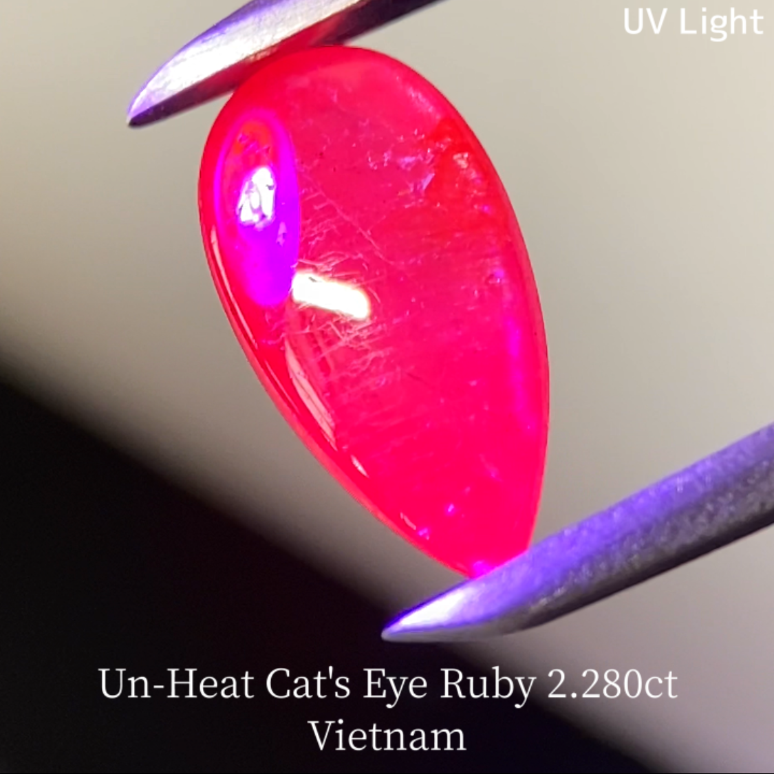 Un-Heat Cat's Eye Ruby 2.280ct / Vietnam