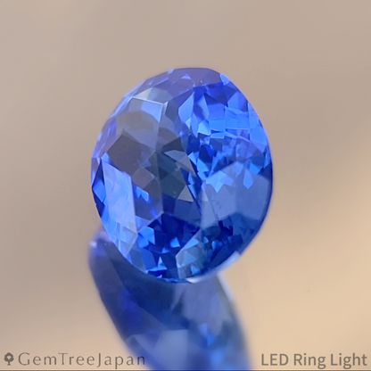 【Trial Price】Cornflower Blue Sapphire 0.702ct / Myanmar(Burma)