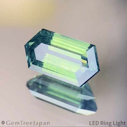 Bluish Green Sapphire 0.920ct / Madagascar