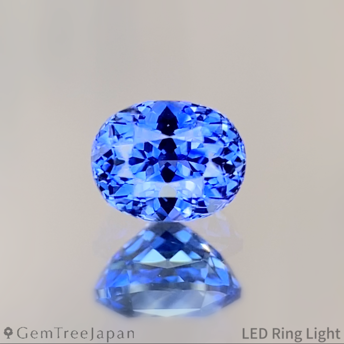 【Trial Price】Cornflower Blue Sapphire 0.393ct / Sri Lanka