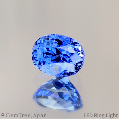 【Trial Price】Cornflower Blue Sapphire 0.393ct / Sri Lanka