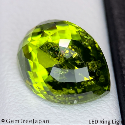 "Lily Pad Eye" Peridot 4.265ct / Pakistan