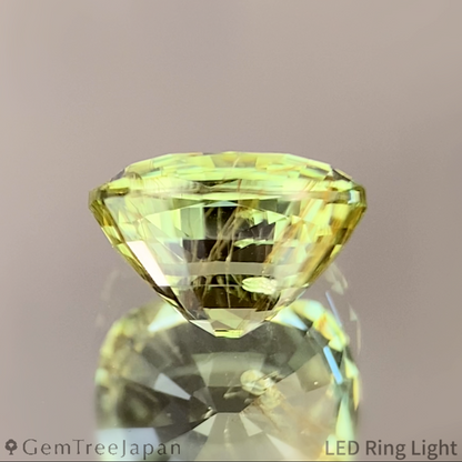 UV Change Tsavorite (Grossular Garnet) 1.387ct / Tanzania