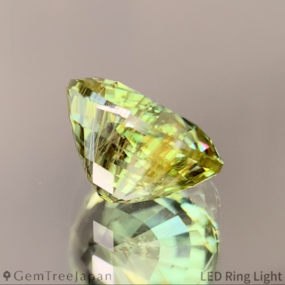 UV Change Tsavorite (Grossular Garnet) 1.387ct / Tanzania