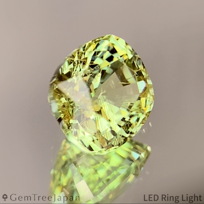 UV Change Tsavorite (Grossular Garnet) 1.387ct / Tanzania