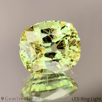 UV Change Tsavorite (Grossular Garnet) 1.387ct / Tanzania