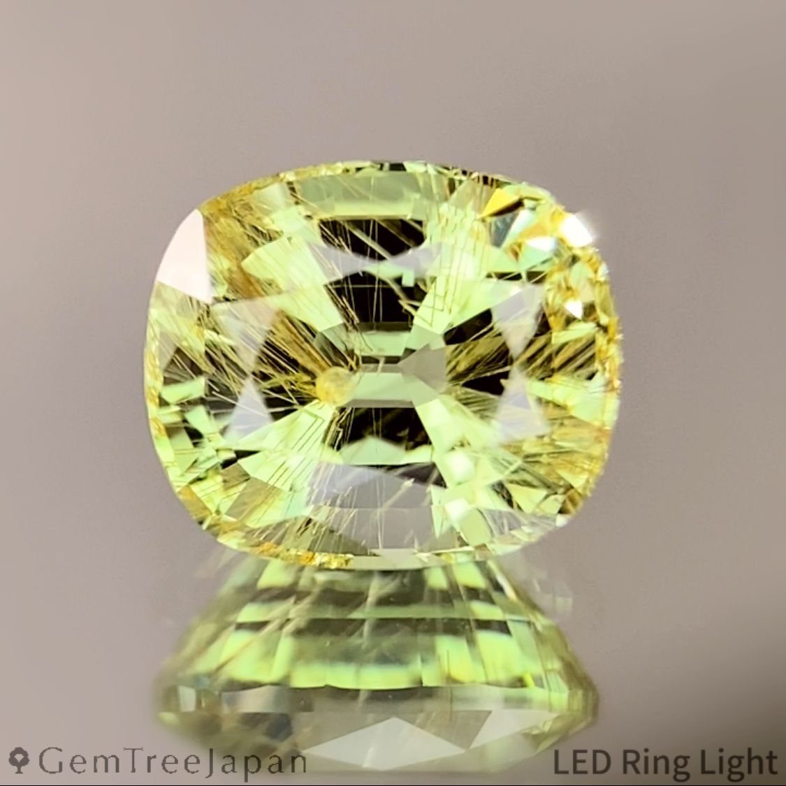 UV Change Tsavorite (Grossular Garnet) 1.387ct / Tanzania
