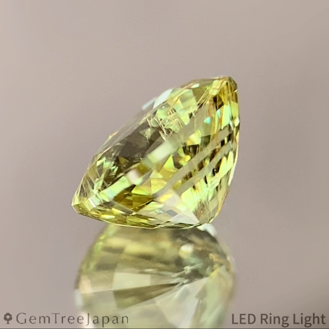UV Change Tsavorite (Grossular Garnet) 1.387ct / Tanzania