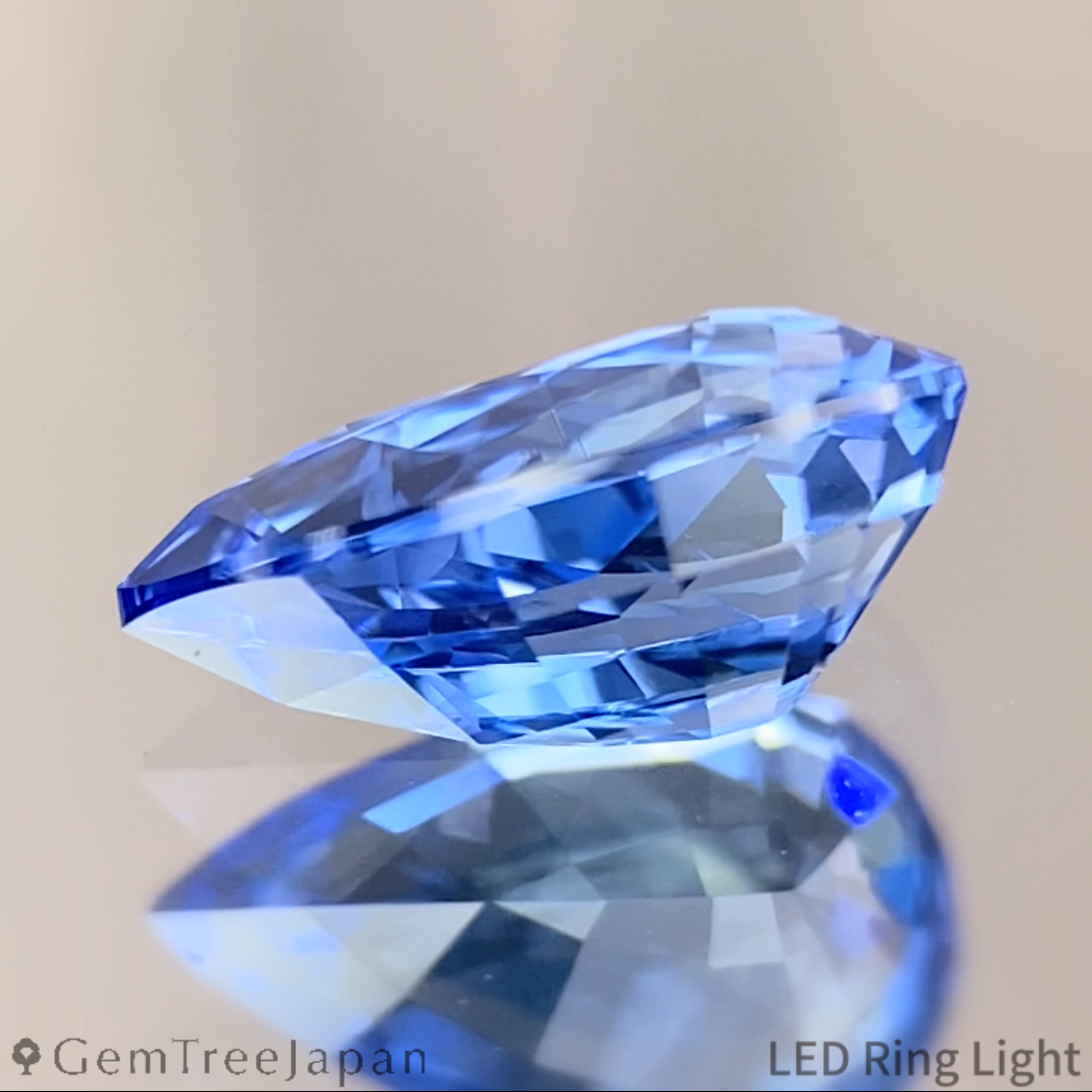 "Sky Blue & Cornflower Blue" Sapphire 1.291ct / Sri Lanka