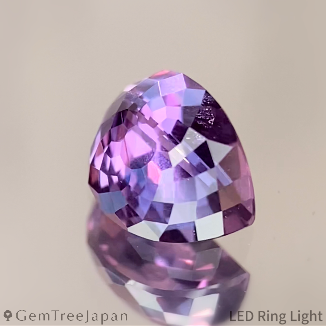 “Water Lily Bud" Un-Heat Sapphire 0.80ct / Madagascar【One Price】