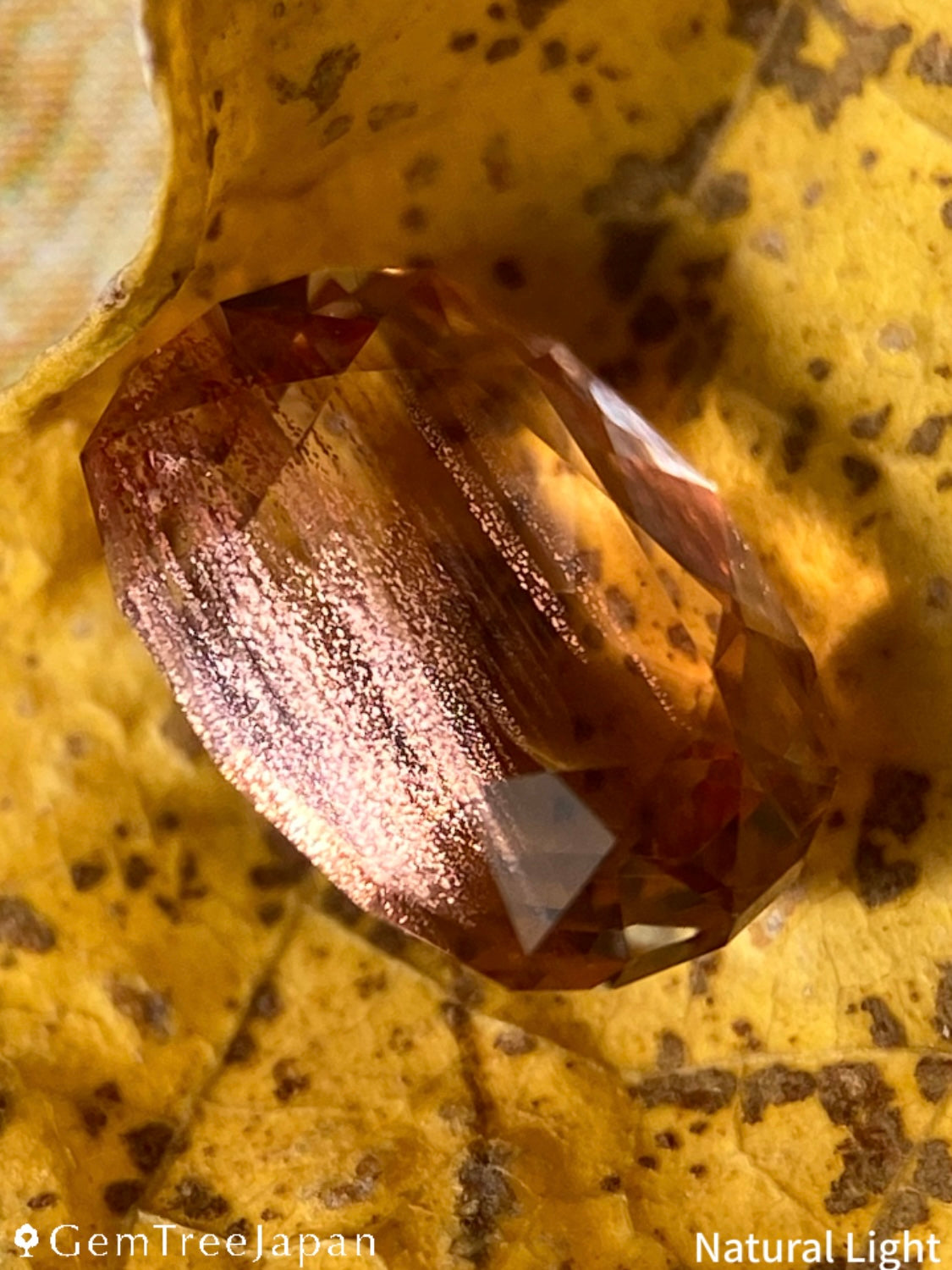 【Trial Price】Oregon Sunstone 1.975ct / U.S.A.