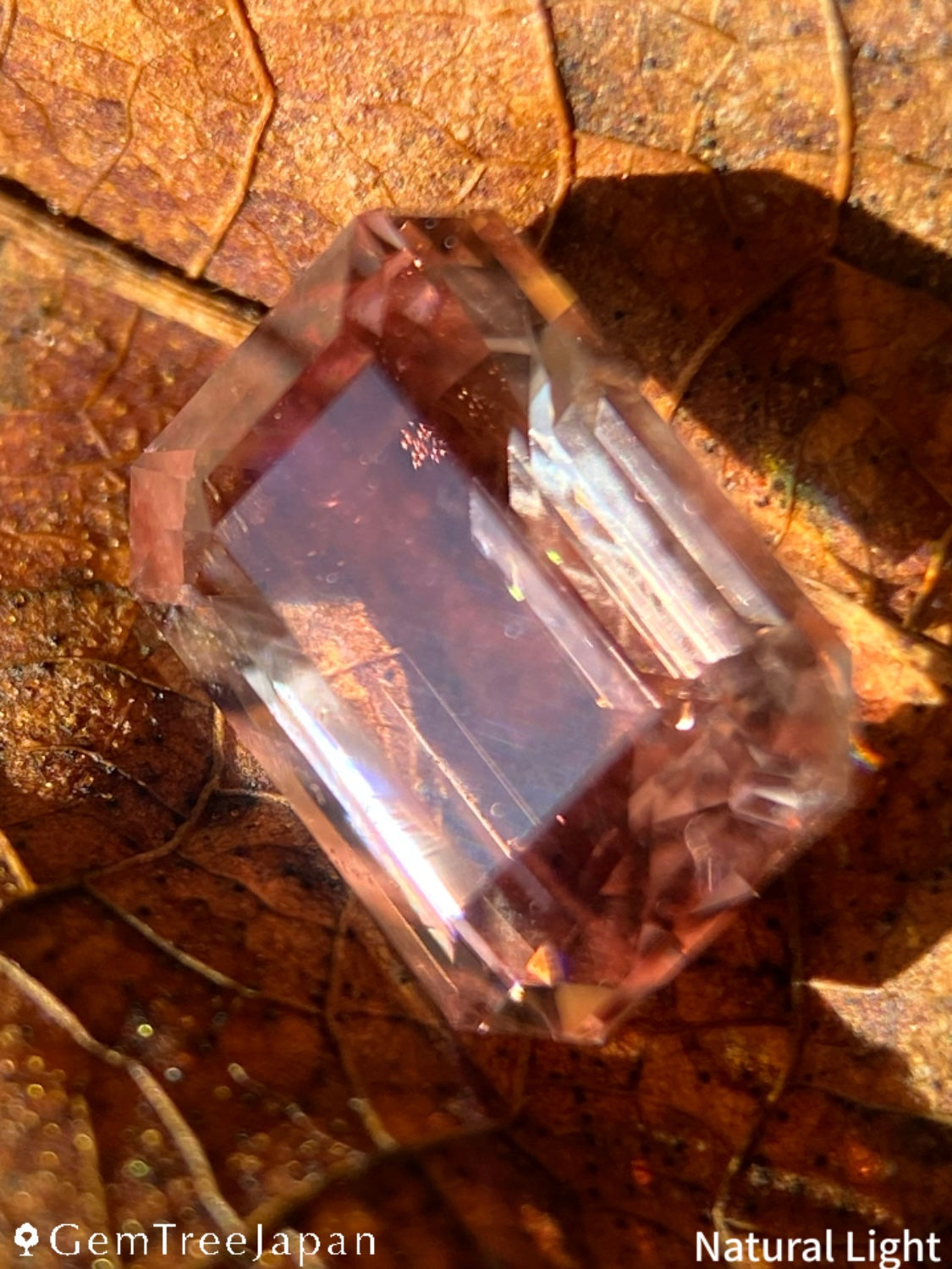 【Trial Price】Oregon Sunstone 1.900ct / U.S.A.