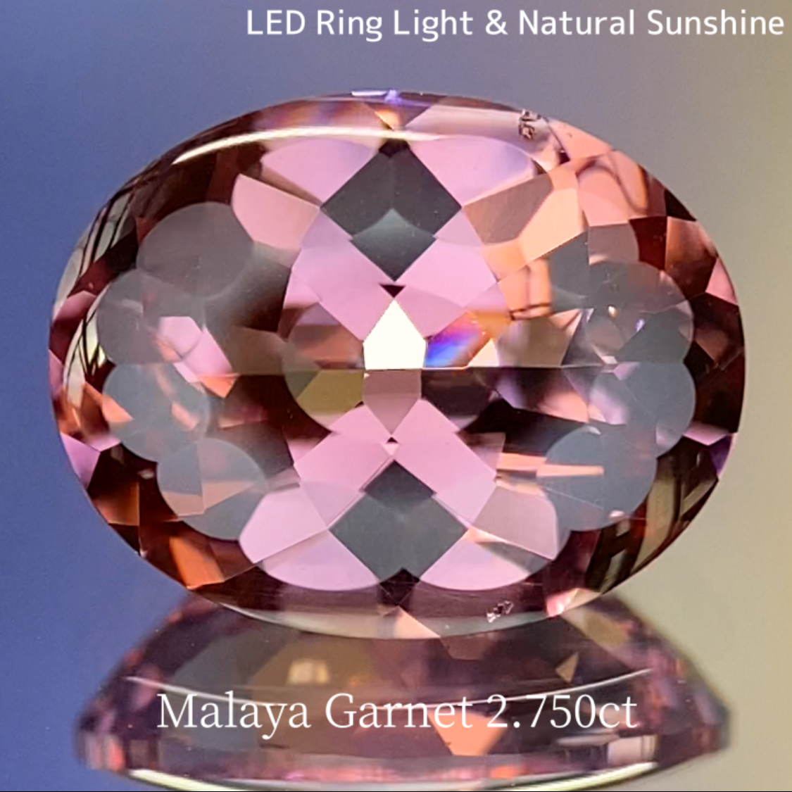 Malaya Garnet 2.750ct / Buff Top Flower