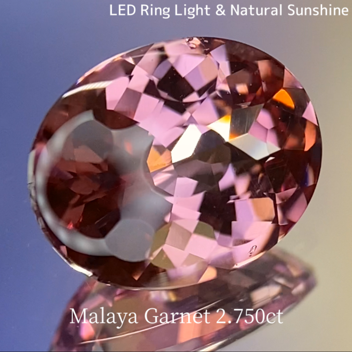 Malaya Garnet 2.750ct / Buff Top Flower