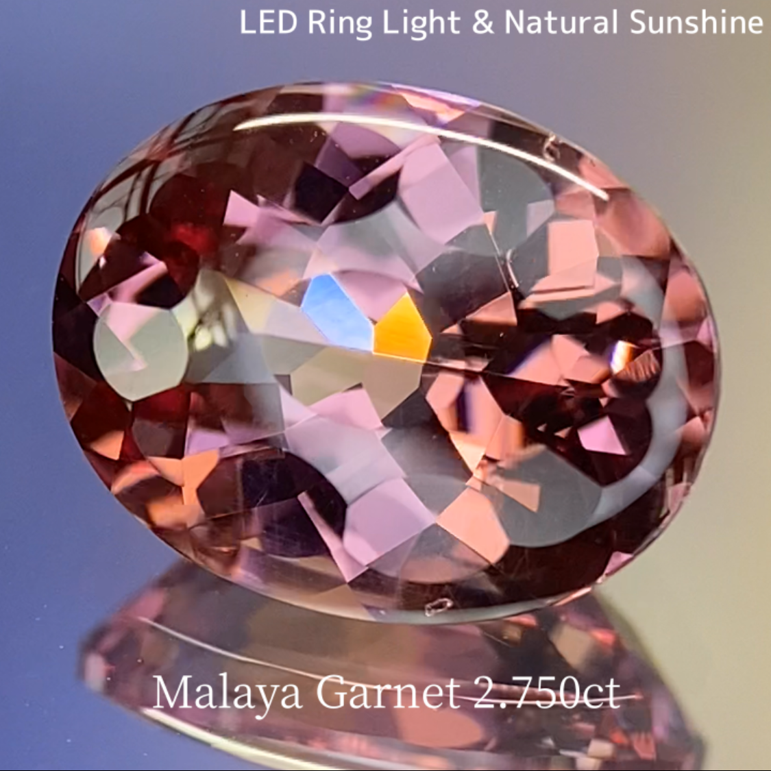 Malaya Garnet 2.750ct / Buff Top Flower