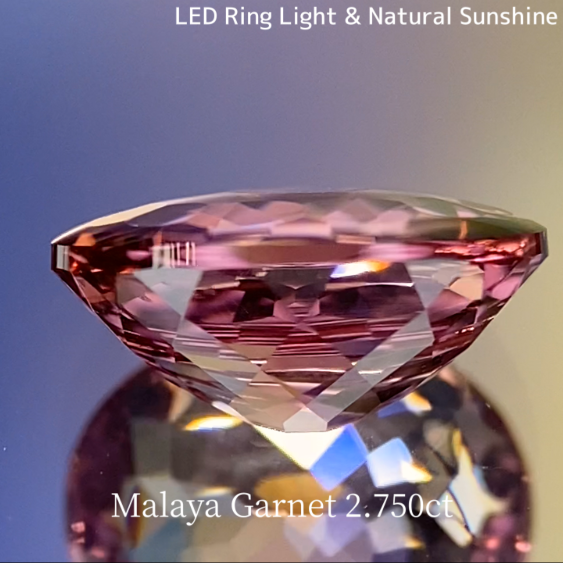 Malaya Garnet 2.750ct / Buff Top Flower