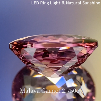 Malaya Garnet 2.750ct / Buff Top Flower