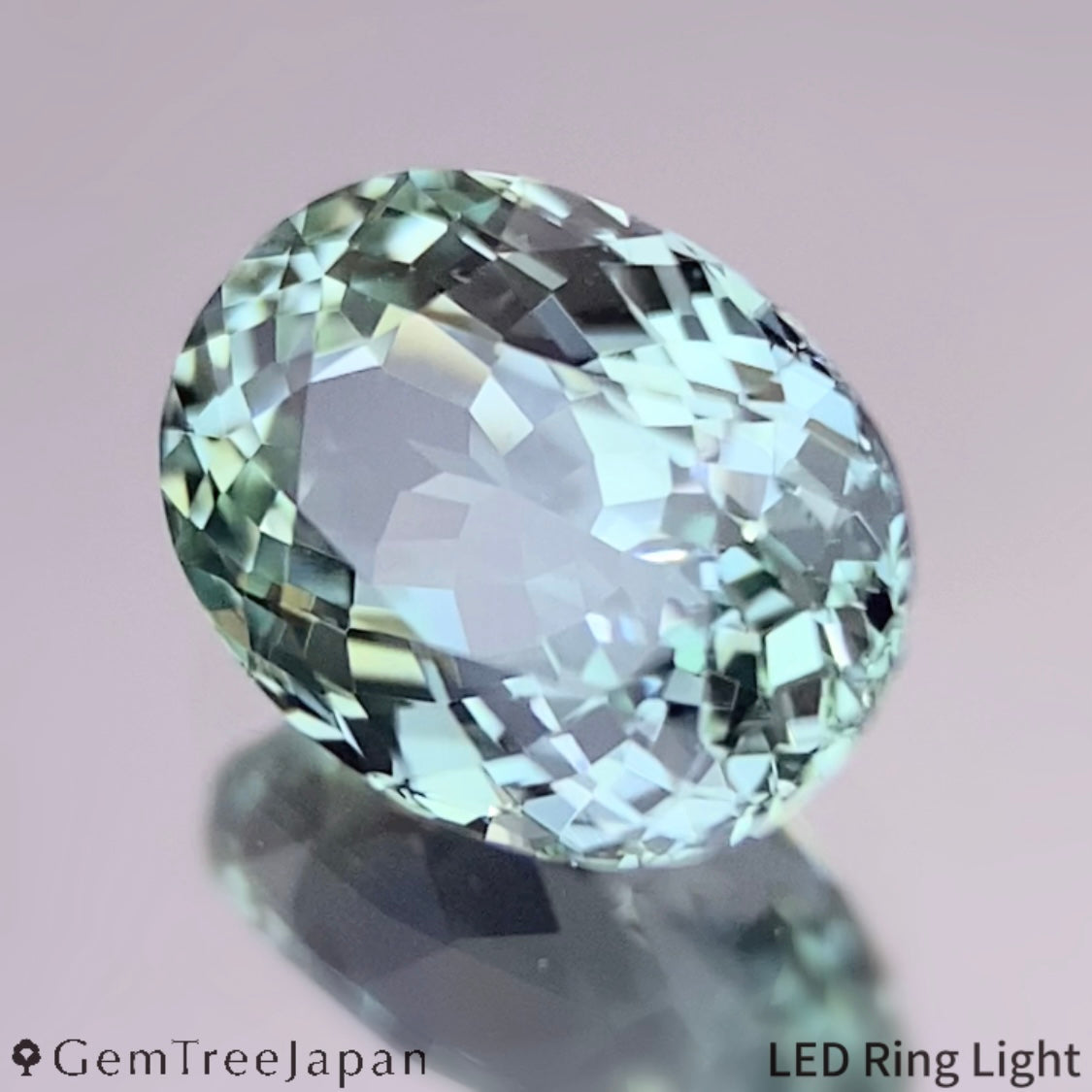 Un-Heat Sapphire 1.555ct / Thailand (Kanchanaburi)