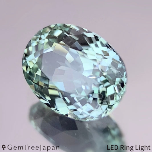 Un-Heat Sapphire 1.555ct / Thailand (Kanchanaburi)